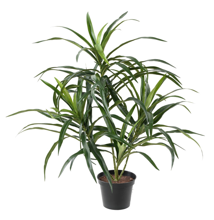 Kunstig Plante Dracaena 45 Cm Til Indretning
