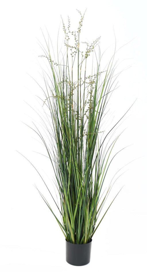 Kunstgræs Plante Bær Løg Græs 150Cm