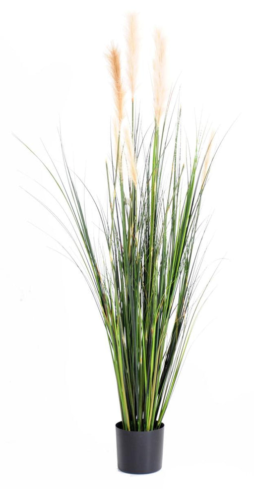 Kunstgræs Carex Plante 180 Cm Grøn