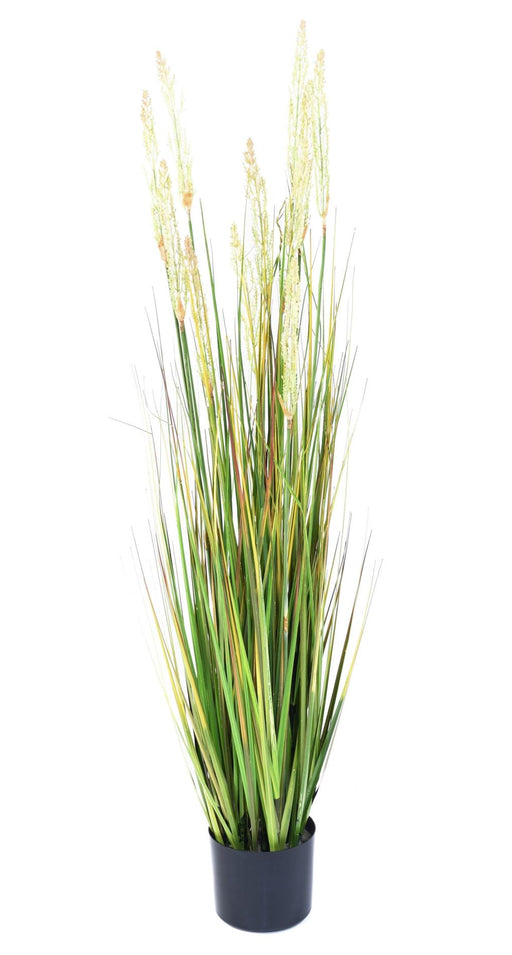 Kunstgræs Plante Løg Græs 120Cm I Pot