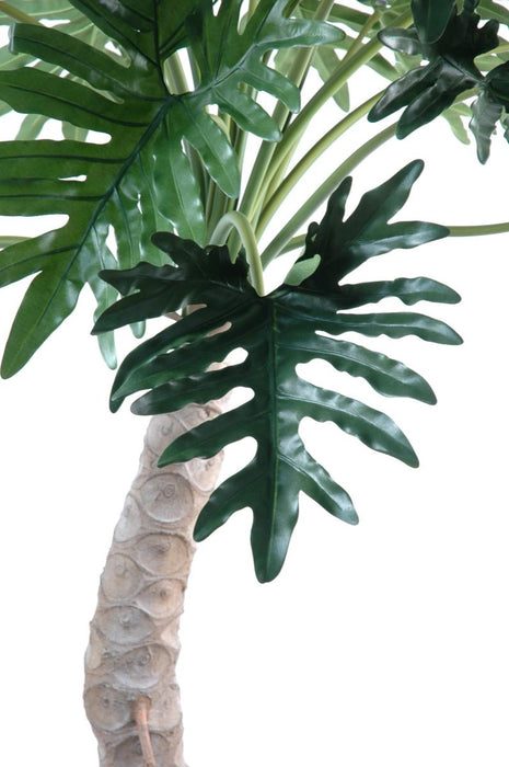 Kunstig Plante Philodendron Selloum 210Cm Grøn