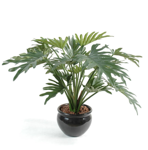 Kunstig Plante Philodendron Selloum 50Cm Grøn