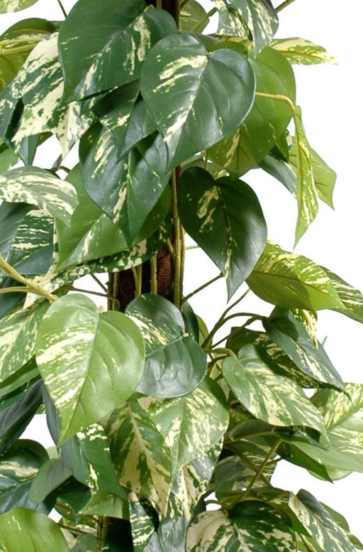 Kunstig Pothos-Plante 100 Cm Med Kokospæl