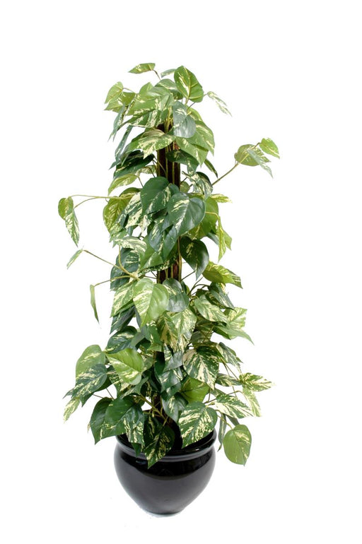 Kunstig Pothos-Plante 100 Cm Med Kokospæl