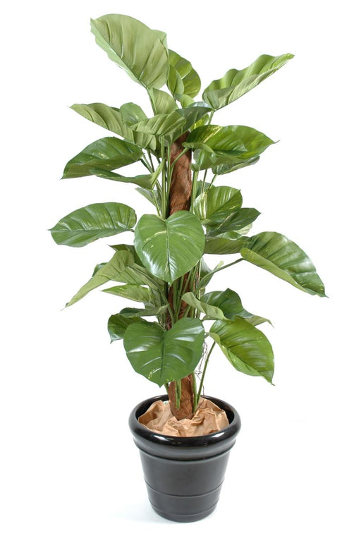 Kunstig Plante Kæmpe Pothos 150 Cm Indendørs