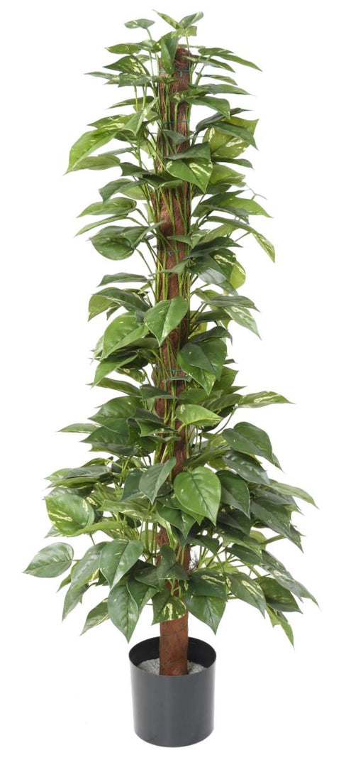 Kunstig Pothos Plantepæl 130 Cm Grøn
