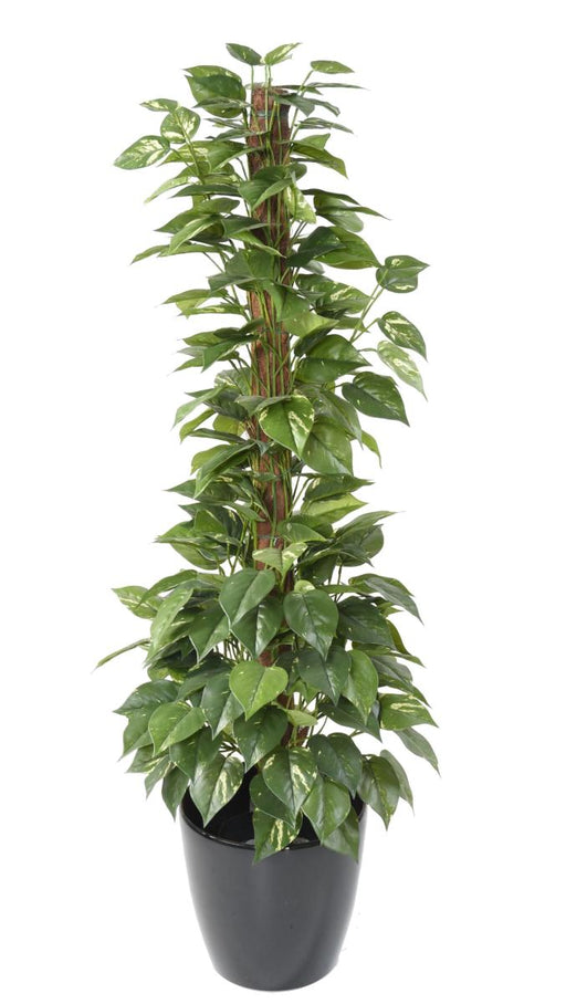 Kunstig Pothos Plantepæl 130 Cm Grøn