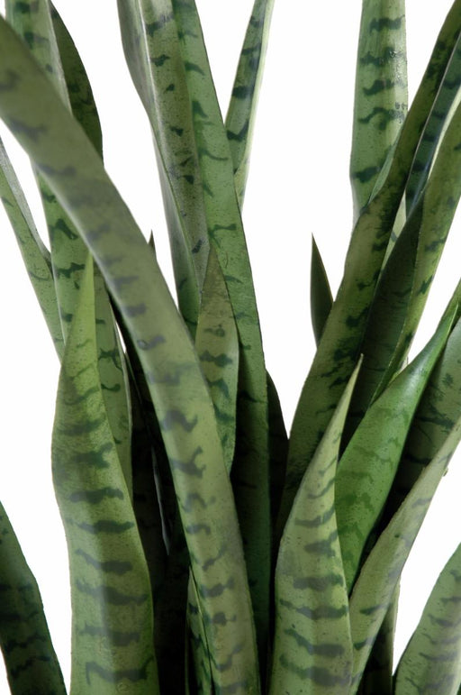 Kunstig Plante Sansevieria 30 Blade 110 Cm