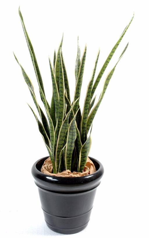 Kunstig Plante Sansevieria 30 Blade 110Cm