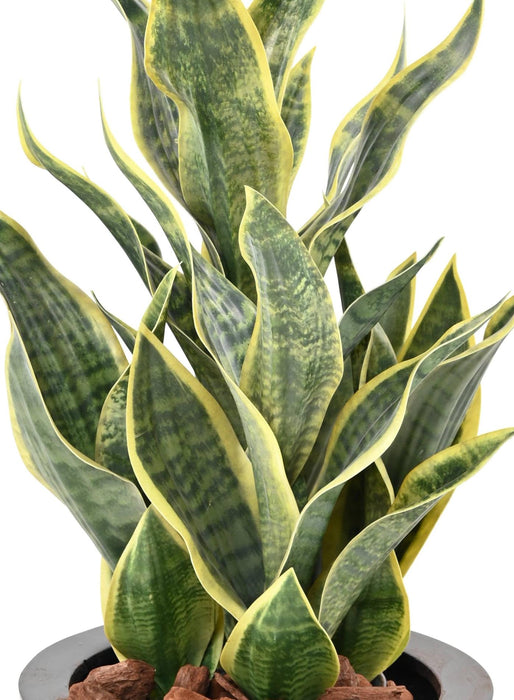 Kunstig Plante Sansevieria 66Cm Indvendig Dekoration