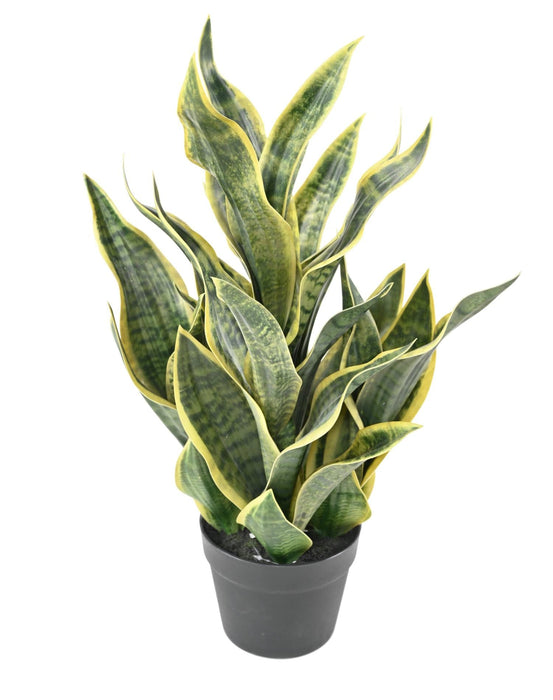 Kunstig Plante Sansevieria 66Cm Indvendig Dekoration