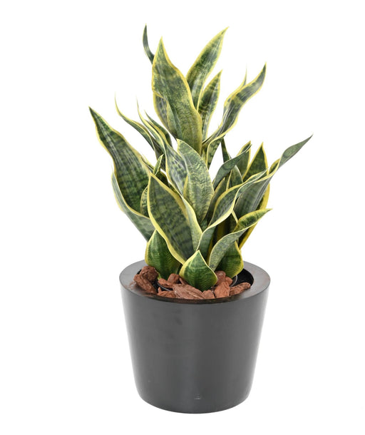 Kunstig Plante Sansevieria 66Cm Indvendig Dekoration