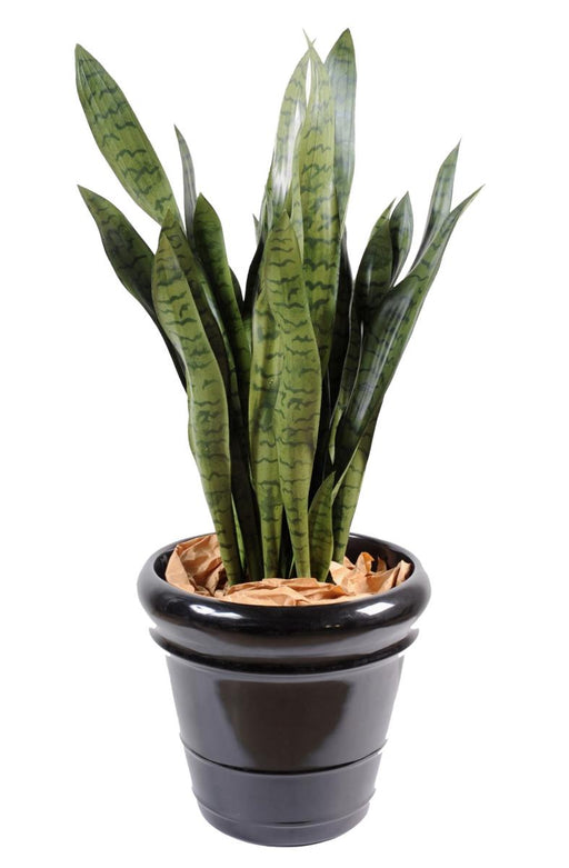Kunstig Plante Sansevieria 93 Cm Indvendig Dekoration