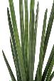 Kunstig Plante Sansevieria Cylindrisk 90 Cm