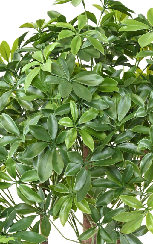 Kunstig Plante Schefflera Uv Til Udendørs 110Cm