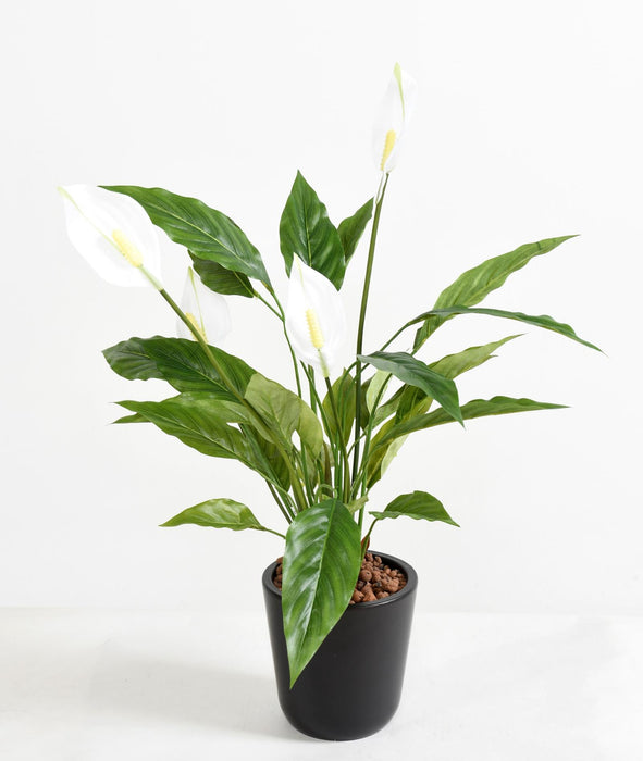 Kunstig Spathiphyllum Plante Med Hvide Blomster