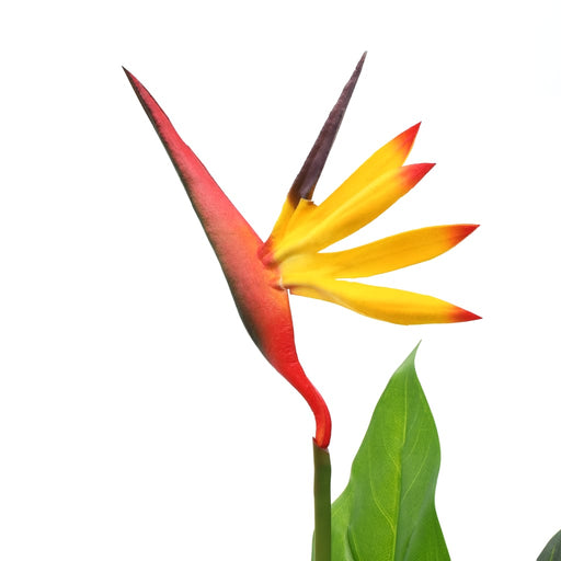 Kunstig Plante Strelitzia Reginae Paradisfugl 66 Cm