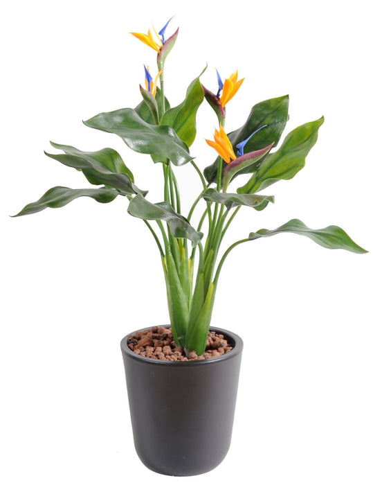 Kunstig Plante Strelitzia UV-Resistent 50Cm