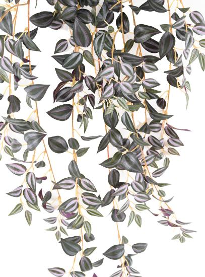 Kunstig Plante Tradescantia H.110 Cm Grøn Lilla