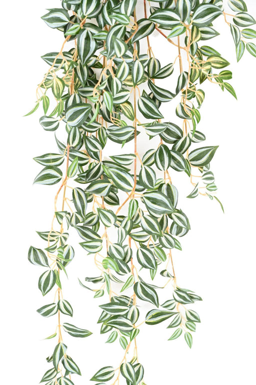 Kunstig Plante Tradescantia H.110Cm Grøn Hvid