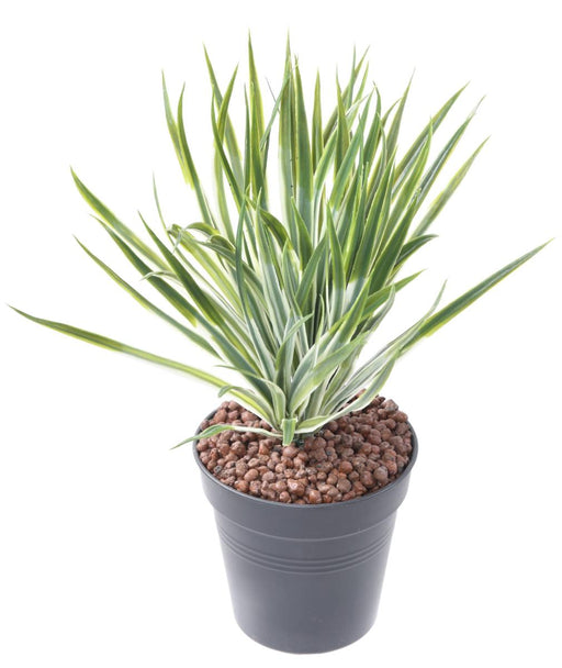 Kunstig Yucca Golden Plant Til Indendørs Og Udendørs