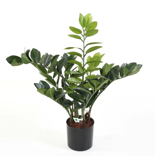 Kunstig Plante Zamioculcas 60Cm Til Indendørs