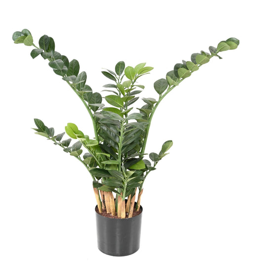 Kunstig Plante Zamioculcas 90Cm Til Indendørs