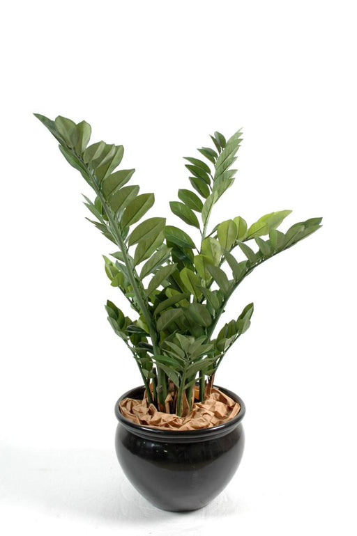 Kunstig Plante Zamioculcas 90Cm Til Indendørs