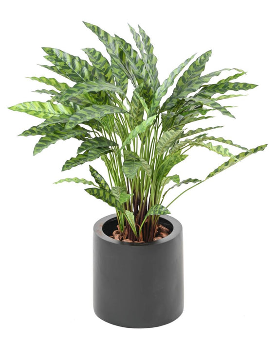 Kunstig Calathea Plante I Potte 84Cm Grøn