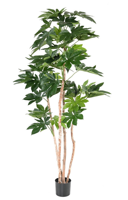 Kunstig Fatsia Japonica Plante 180 Cm Indvendig Dekoration