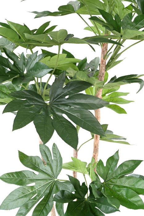 Falsk Plante Fatsia Japonica 150 Cm Til Indendørs