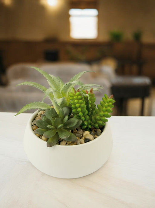 Sukkulent Plante - Kunstig Sammensætning