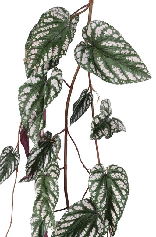 Kunstig Hængeplante Begonia Muculata 230Cm