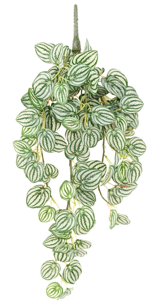 Kunstig Hængeplante Peperomia H.70 Cm