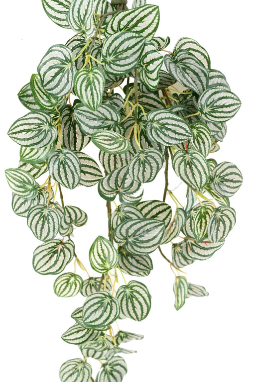 Kunstig Hængeplante Peperomia H.70 Cm