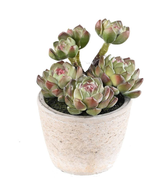 Kunstig Sukkulent Plante I Potte H.18Cm