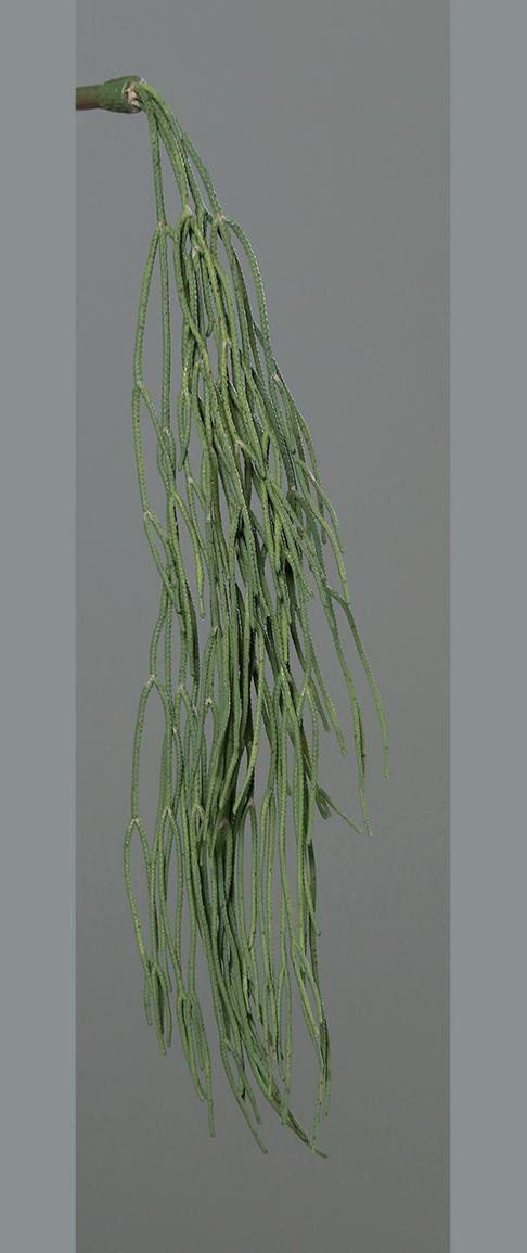 Kunstig Sukkulent Plante Hængende 62 Cm