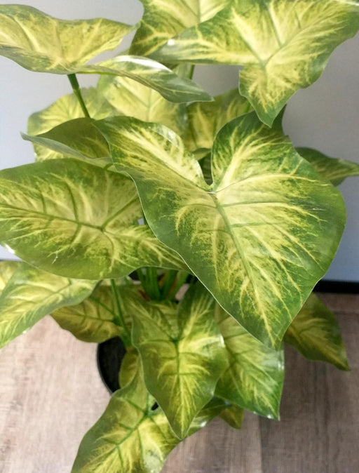 Kunstig Syngonium Plante I Potte 50Cm Lysegrøn