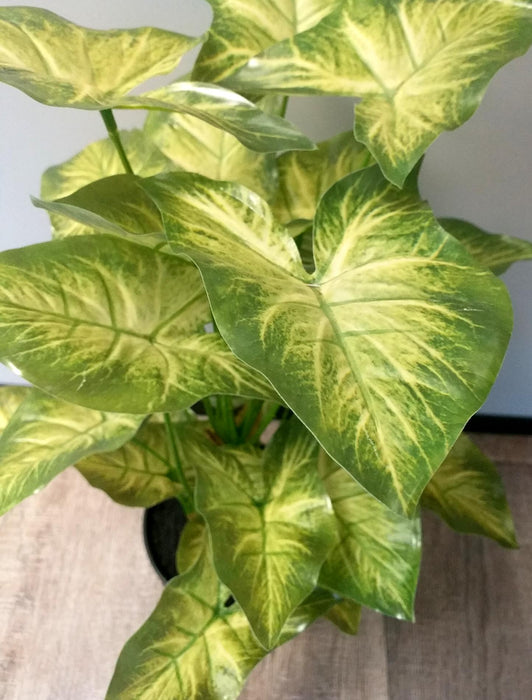 Kunstig Syngonium Plante I Potte 50Cm Lysegrøn