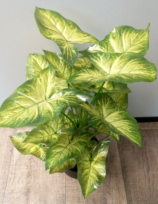 Kunstig Syngonium Plante I Potte 50Cm Lysegrøn