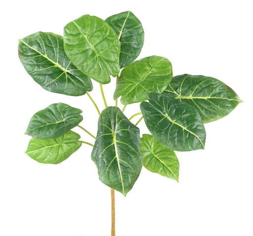 Kunstig Grøn Plante Alocasia 10 Blade 50Cm