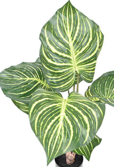 Kunstig Zebra Plante H.70Cm I Sort Potte