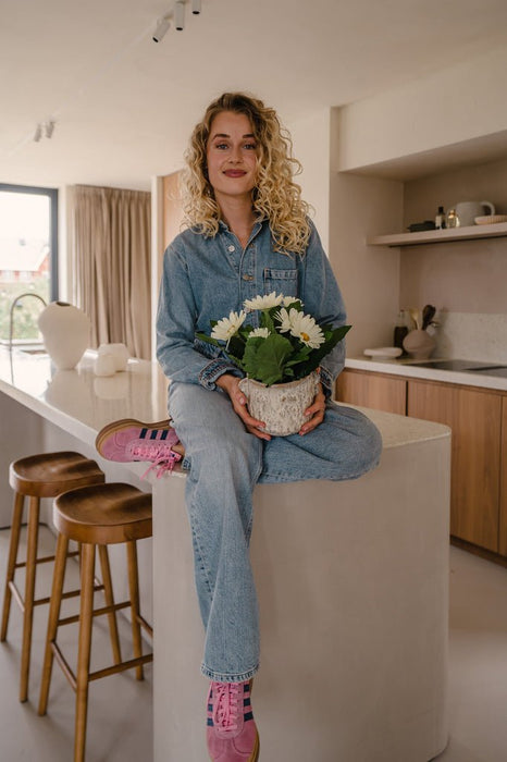 Kunstig Plante Hvid Gerbera