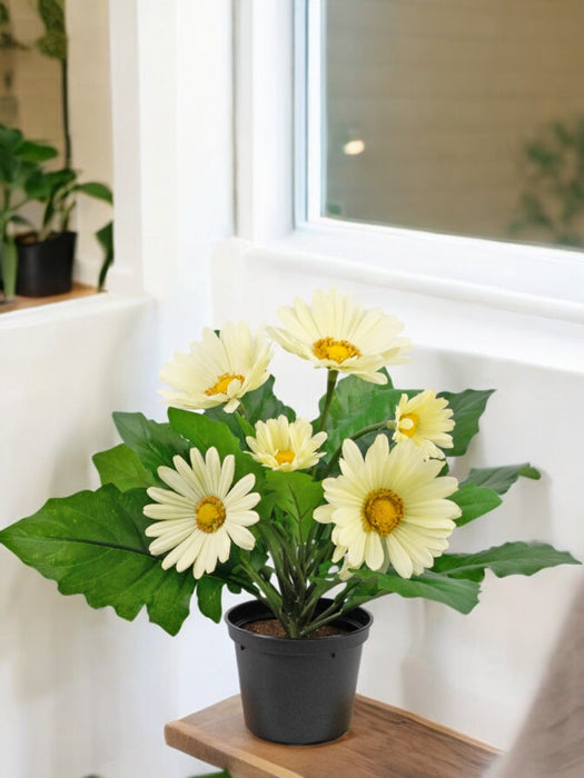 Kunstig Plante Hvid Gerbera