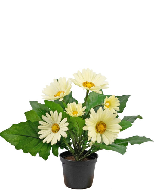 Kunstig Plante Hvid Gerbera