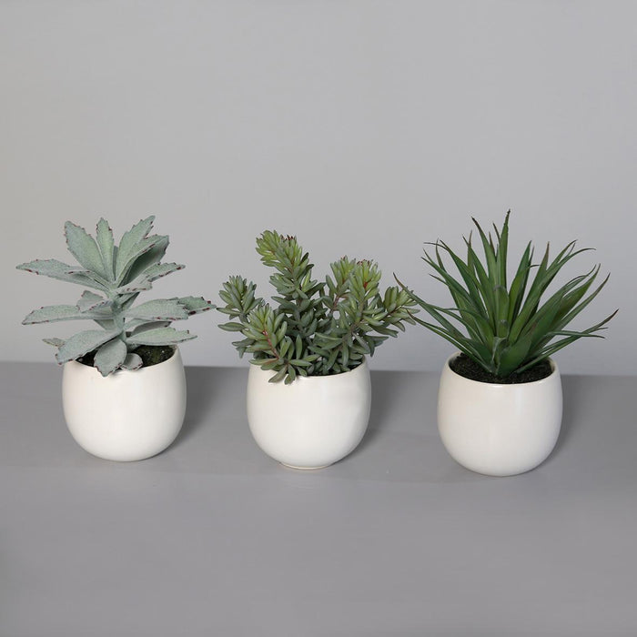 Kunstige Sukkulente Planter I Hvid Keramisk Potte