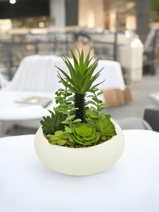 Sukkulente Planter - Kunstig Sammensætning