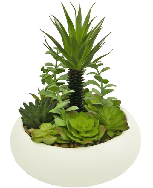 Sukkulente Planter - Kunstig Sammensætning