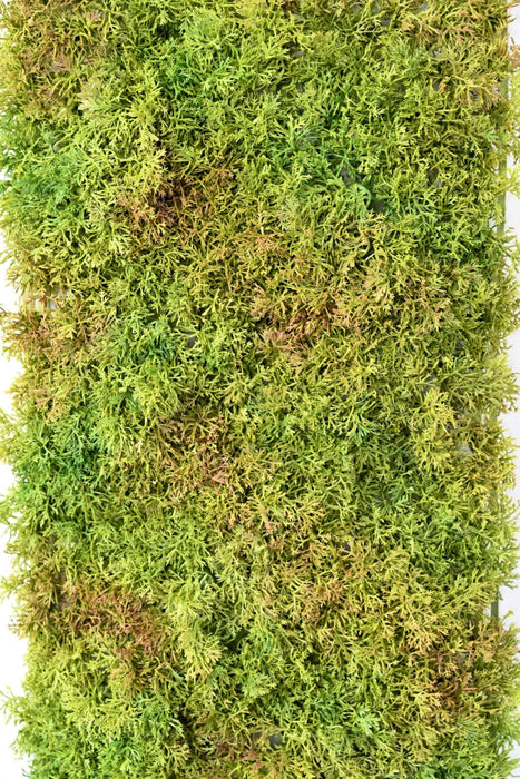 Grøn Kunstig Mosplade Til Grøn Væg