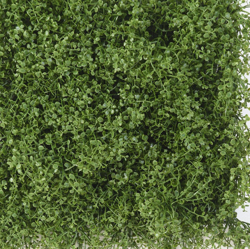 Kunstig Plante Vægplade Helixine 31X31Cm